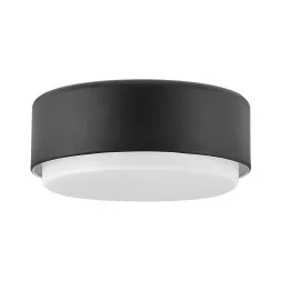 Потолочный светильник Hinkley HK-CEDRIC-F-S-BK