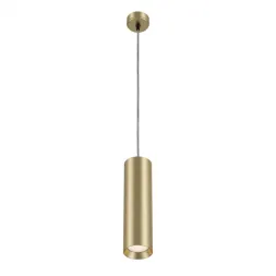 Подвесной светильник Maytoni P020PL-01MG