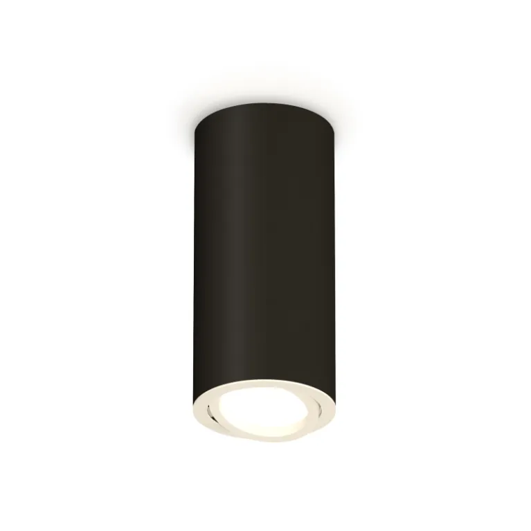 Накладной поворотный светильник Ambrella Light Techno XS7443001 (C7443, N7001)