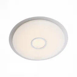 Настенно-потолочный светодиодный светильник ST Luce Funzionale SLE350.112.01