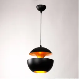 Подвесной светильник L Arte Luce L24601.09