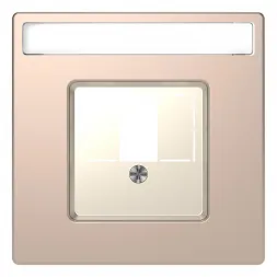 Накладка Schneider Electric Merten D-Life MTN4250-6051