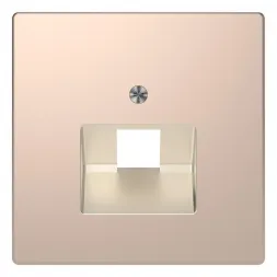 Накладка Schneider Electric Merten D-Life MTN4521-6051
