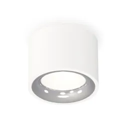Потолочный светильник Ambrella Light Techno Spot XS7510022 (C7510, N7012)