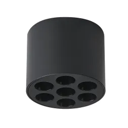 Потолочный светильник Lightstar Guarda 080647