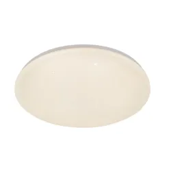 Потолочный светильник Escada 10213/SG LED