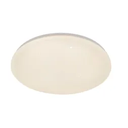 Потолочный светильник Escada Galatea 10216/SG LED APP
