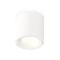 Потолочный светильник Ambrella Light Techno Spot XS7531020 (C7531, N7010)