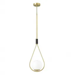 Подвесной светильник Odeon Light Flari 4810/1