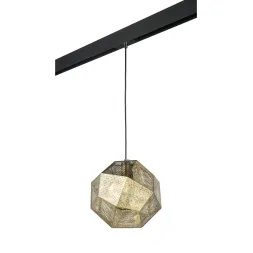 Трековый светильник Lightstar Fermo PRO724112 (724112+595007)