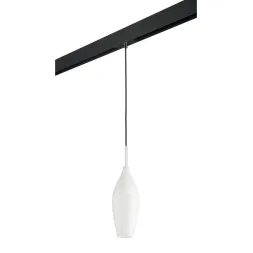 Трековый светильник Lightstar Pentola PRO803020 (803020+595007)