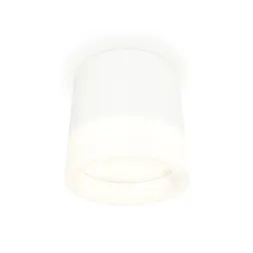 Потолочный светильник Ambrella Light Techno Spot XS8110001 (C8110, N8401)
