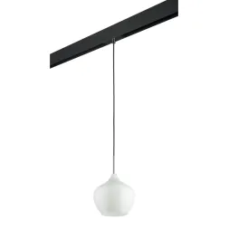 Трековый светильник Lightstar Pentola PRO803040 (803040+595007)