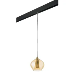 Трековый светильник Lightstar Pentola PRO803043 (803043+595007)