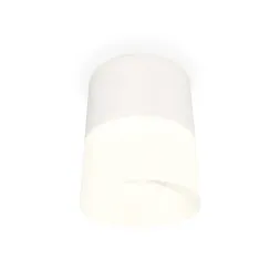 Потолочный светильник Ambrella Light Techno Spot XS8110002 (C8110, N8402)