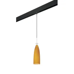 Трековый светильник Lightstar Agola PRO810013 (810013+595007)