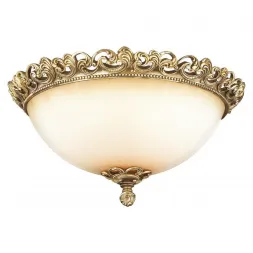 Потолочный светильник Odeon Light Ponga 2431/3C