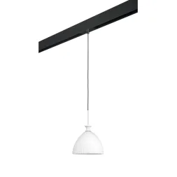 Трековый светильник Lightstar Agola PRO810020 (810020+595007)