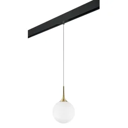 Трековый светильник Lightstar Globo PRO813032 (813032+595007)