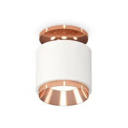 Потолочный светильник Ambrella Light Techno Spot XS7510140 (N7930, C7510, N7035)