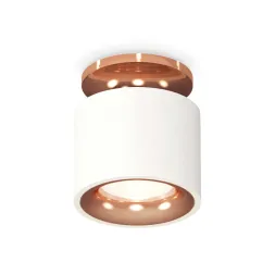 Потолочный светильник Ambrella Light Techno Spot XS7510141 (N7930, C7510, N7015)