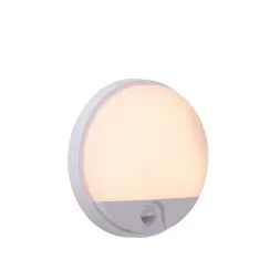 Уличный настенный светильник Lucide Hups ir 22863/10/31