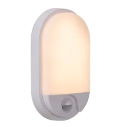 Уличный настенный светильник Lucide Hups ir 22864/10/31