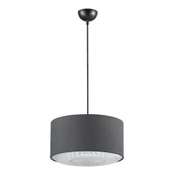 Подвесной светильник Lumion Dora 3736/1