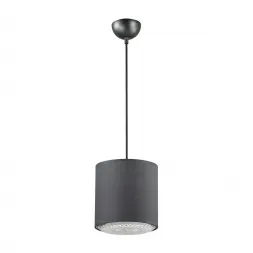 Подвесной светильник Lumion Dora 3738/1