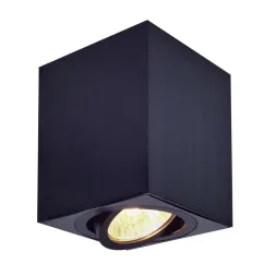 Потолочный светильник Citilux Дюрен CL538213