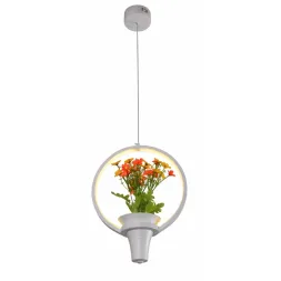 Подвесной светильник Escada 10213/S LED