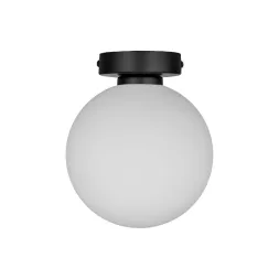 Настенно-потолочный светильник 33 Идеи WLL105.17BL-S32WH