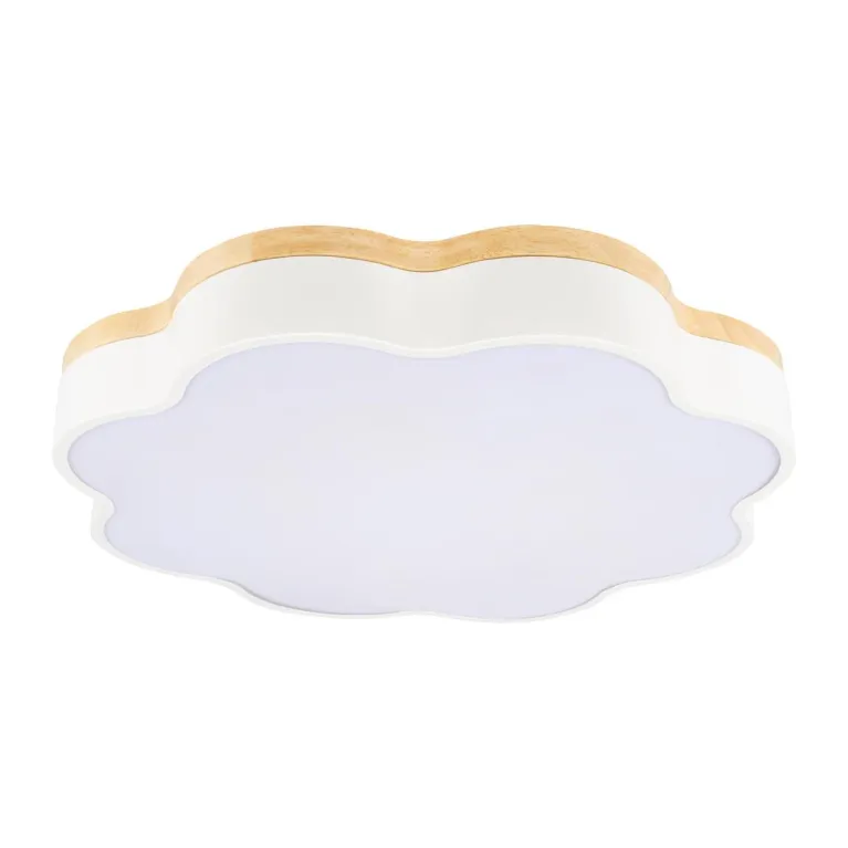 Потолочный светодиодный светильник Loft IT Axel 10225/36 White