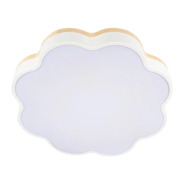 Потолочный светодиодный светильник Loft IT Axel 10225/36 White