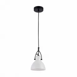 Подвесной светильник Maytoni Daniel MOD407-PL-01-B