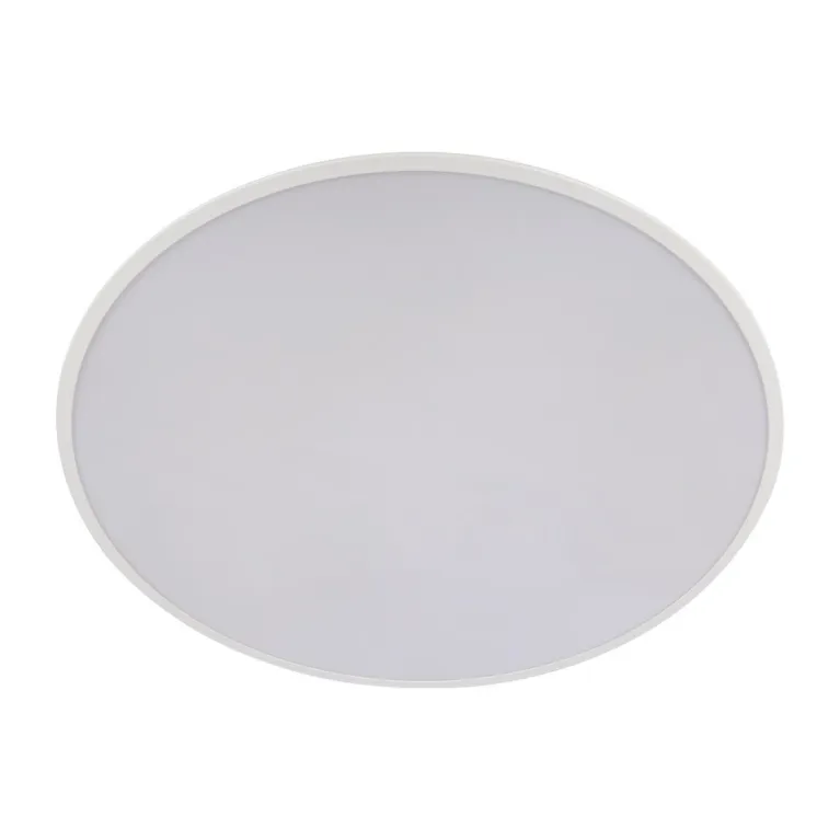 Потолочный светодиодный светильник Loft IT Brim 10226 White