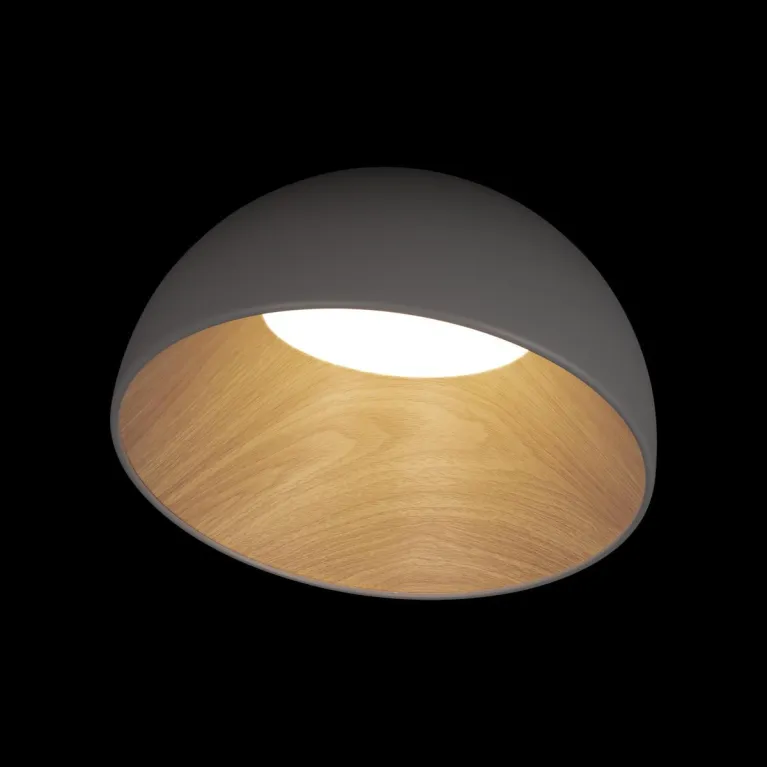 Потолочный светодиодный светильник Loft IT Egg 10197/350 Grey