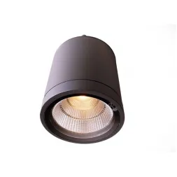 Уличный потолочный светильник Deko-Light Mobby Ceiling WW 730386