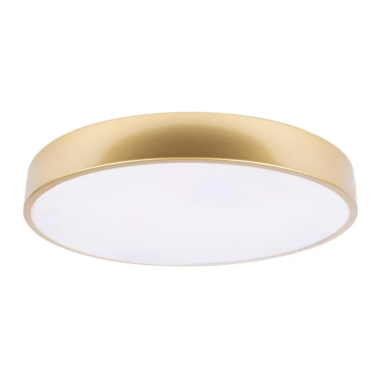 Потолочный светодиодный светильник Loft IT Flims 10228/A