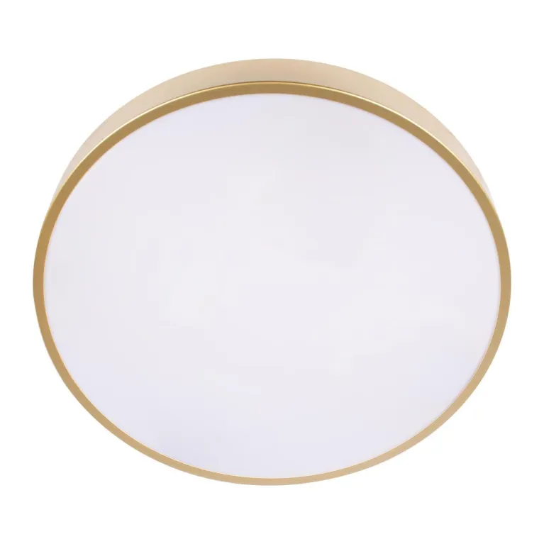 Потолочный светодиодный светильник Loft IT Flims 10228/A