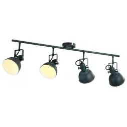 Спот Arte Lamp Martin A5215PL-4BG