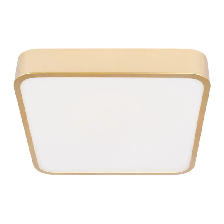 Потолочный светодиодный светильник Loft IT Flims 10228/C