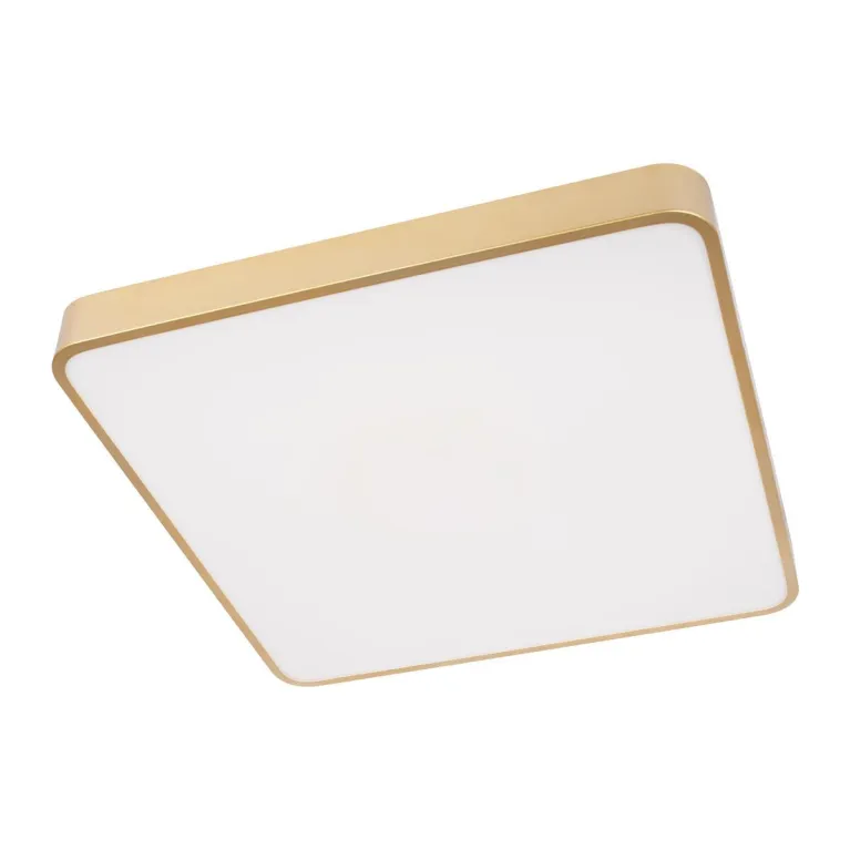 Потолочный светодиодный светильник Loft IT Flims 10228/D