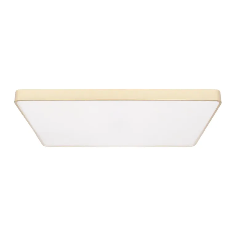 Потолочный светодиодный светильник Loft IT Flims 10228/E