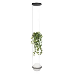 Подвесной светильник Loft IT Jardin 10121/1P Dark grey
