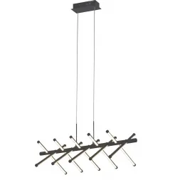 Подвесная светодиодная люстра Favourite Carcass 2382-10P Подвесная светодиодная люстра Favourite Carcass 2382-10P