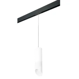 Трековый светильник Lightstar Rullo PRORP649686 (216496+595887+201486)