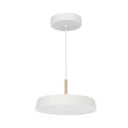 Подвесной светодиодный светильник Arlight Sp-Elegant-R300-17W Day4000 033919