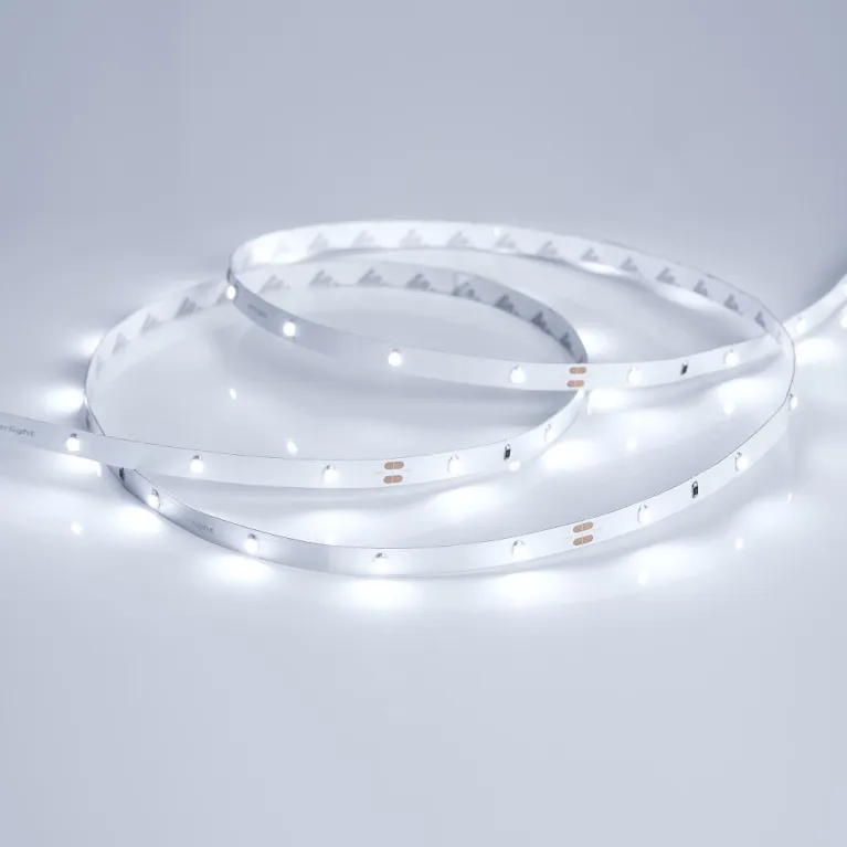 Светодиодная лента Arlight RT 2-5000 3528 019916(1)