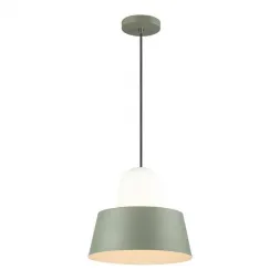 Подвесной светильник Odeon Light Alur 4142/1